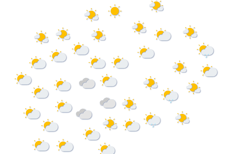 Forecast