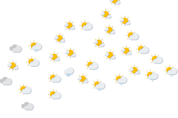 Forecast