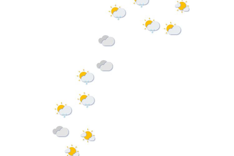 Forecast