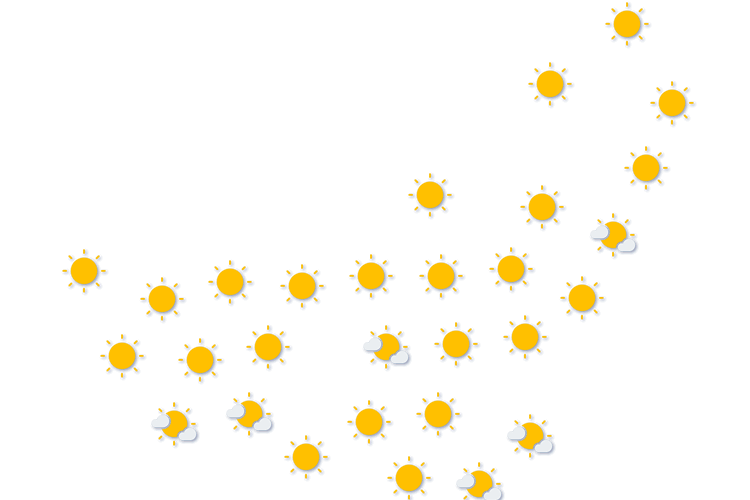 Forecast