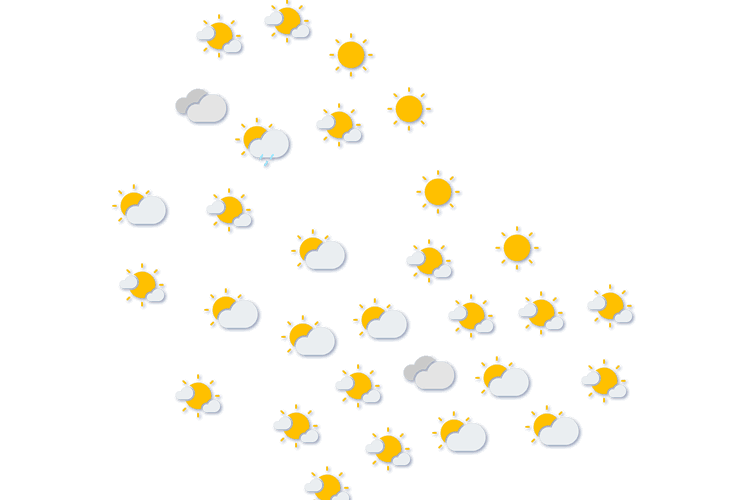 Forecast