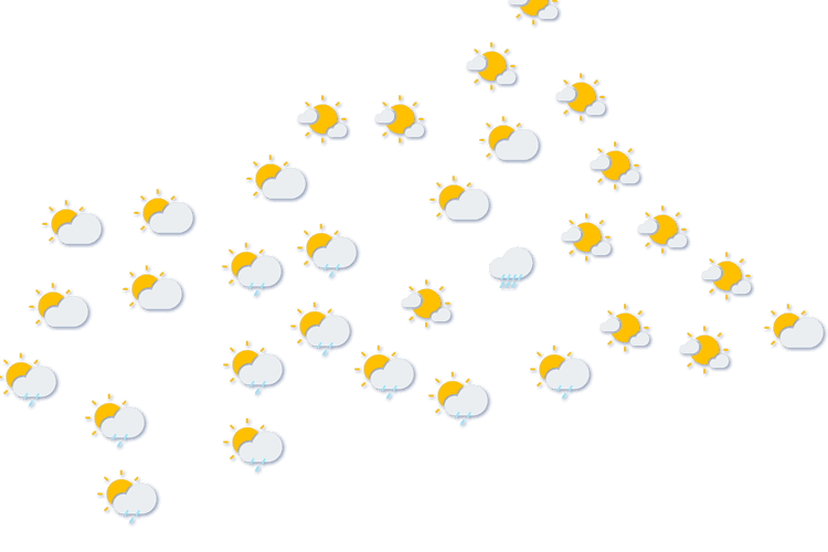 Forecast