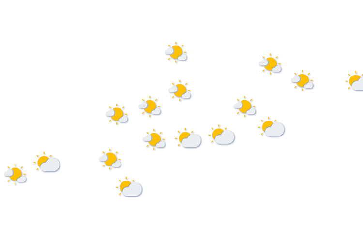 Forecast