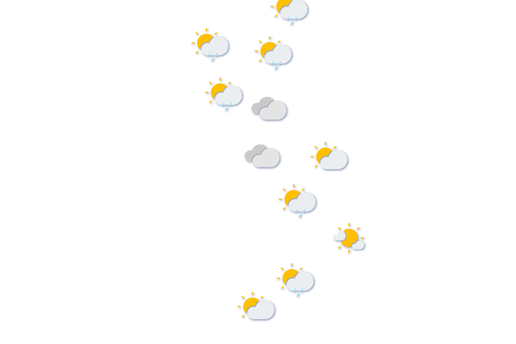 Forecast