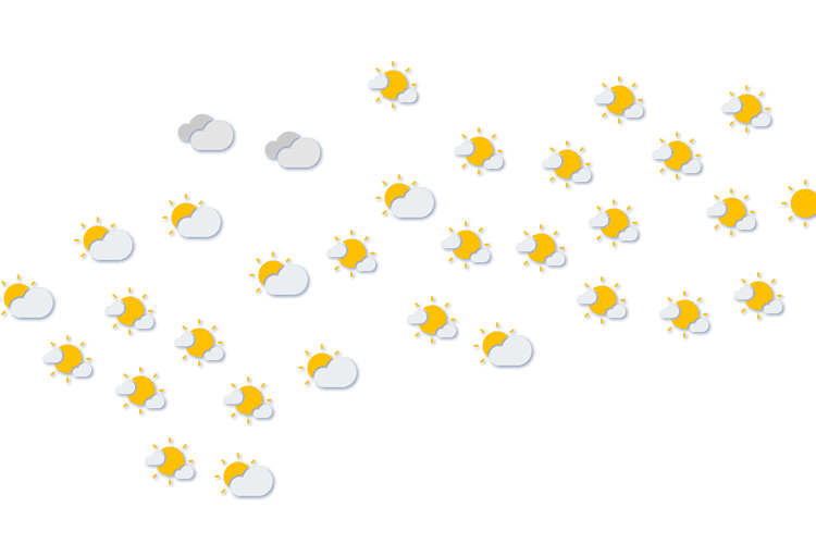 Forecast