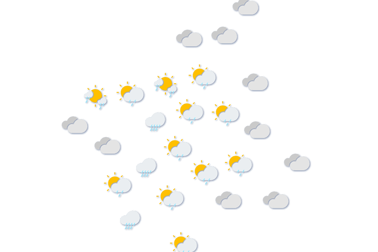 Forecast