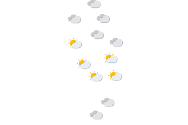 Forecast