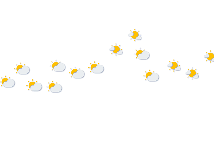 Forecast