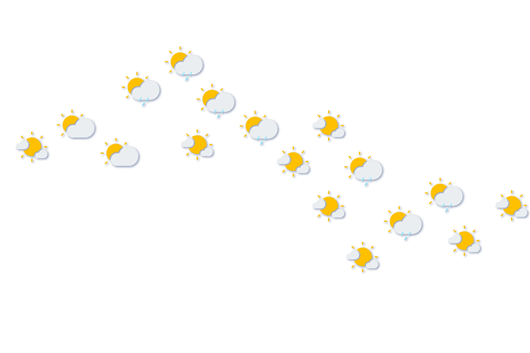 Forecast