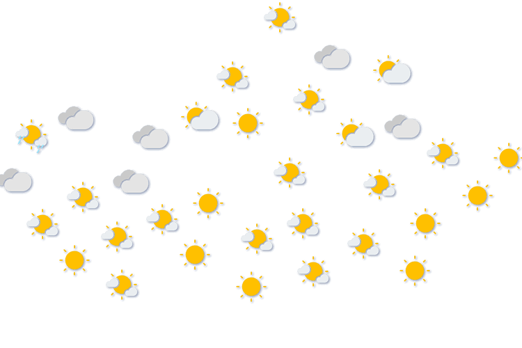 Forecast