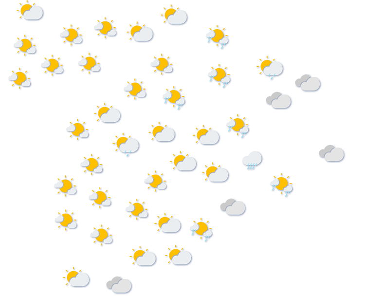 Forecast