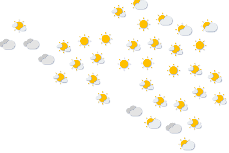 Forecast