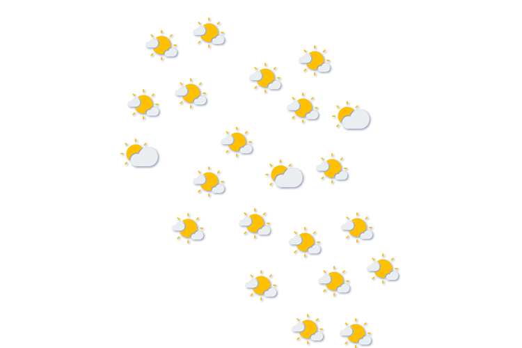Forecast