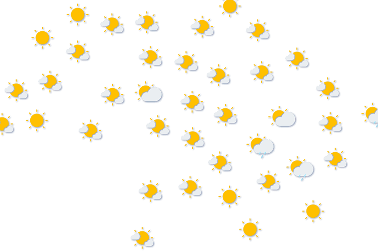 Forecast