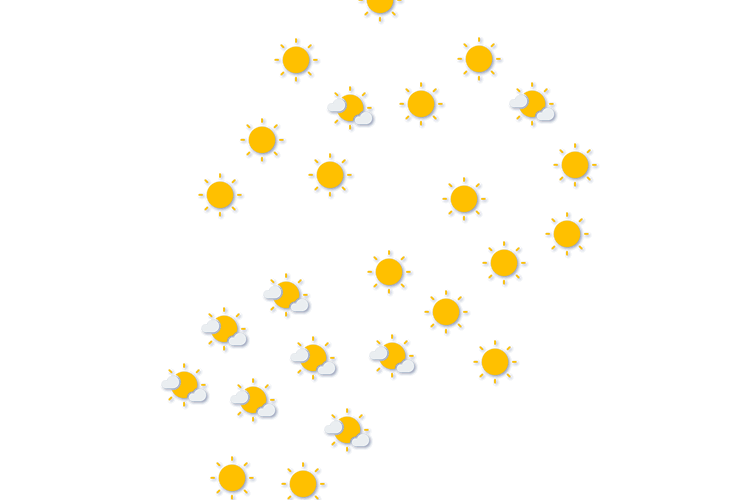 Forecast