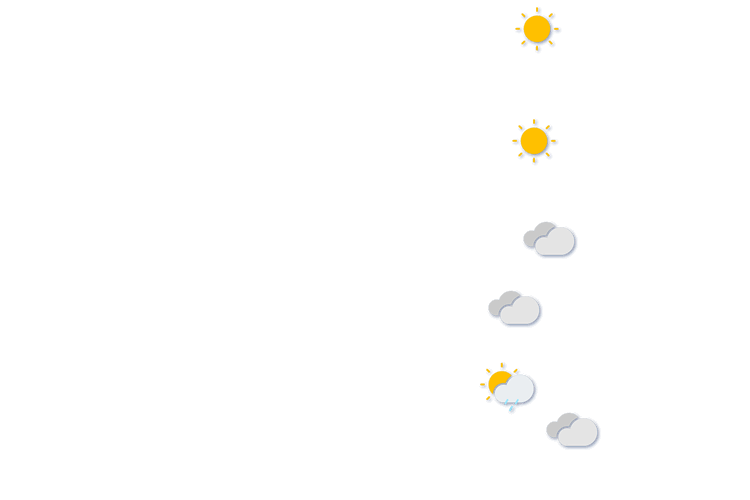 Forecast