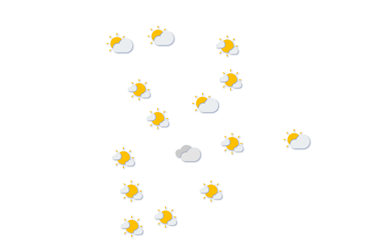 Forecast