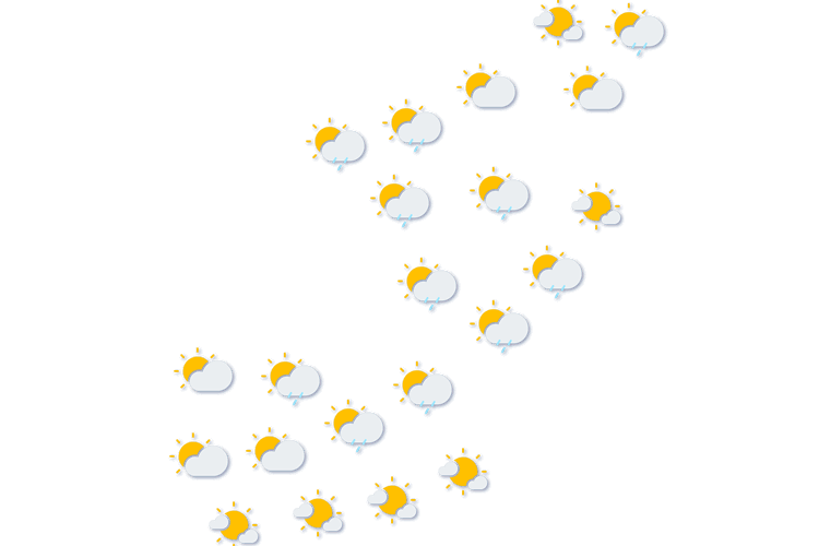 Forecast