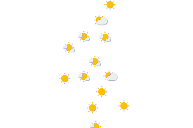 Forecast