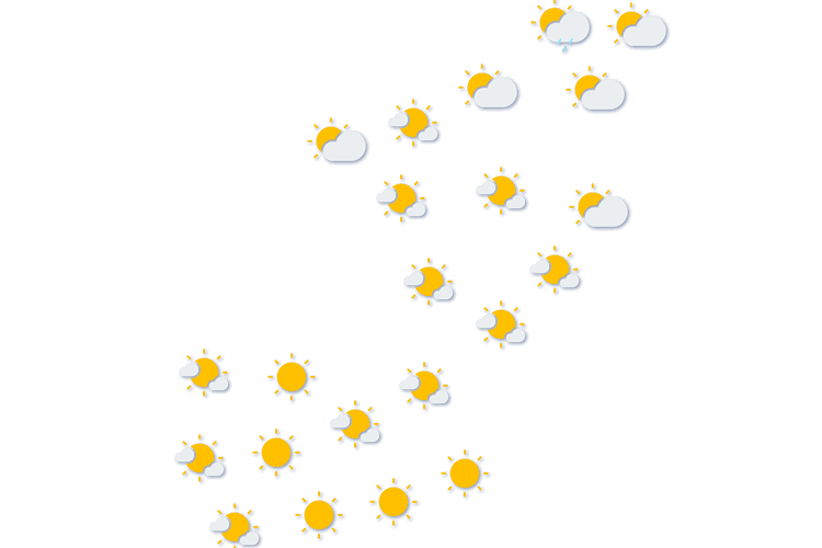 Forecast