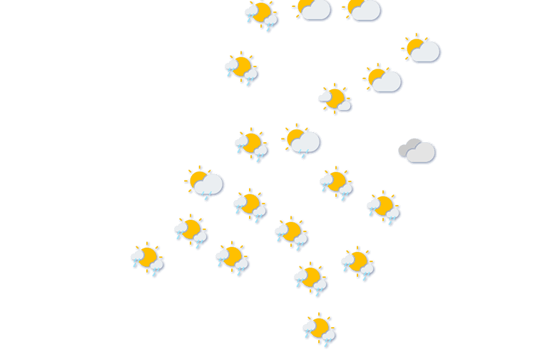 Forecast