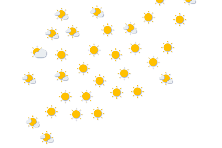 Forecast