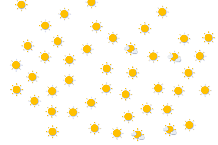 Forecast
