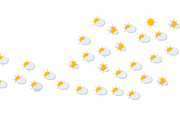 Forecast
