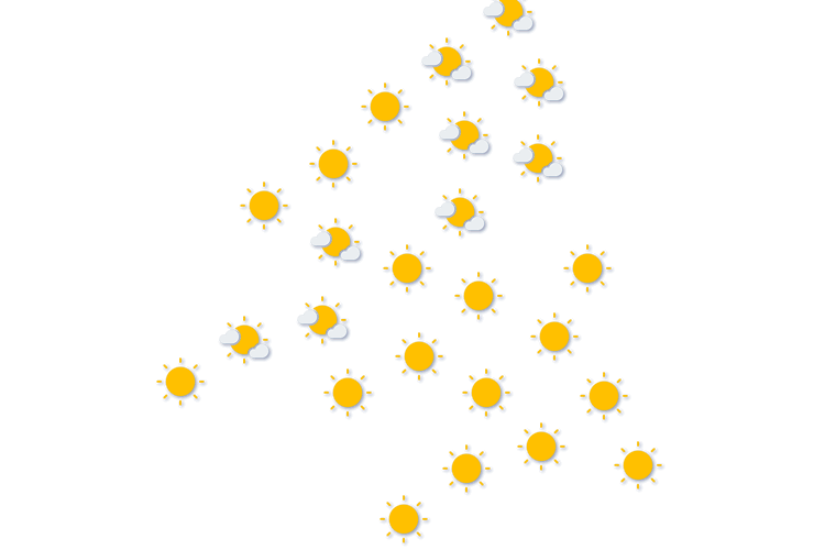 Forecast