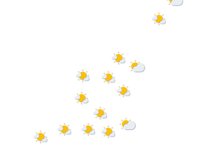Forecast