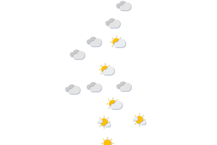 Forecast
