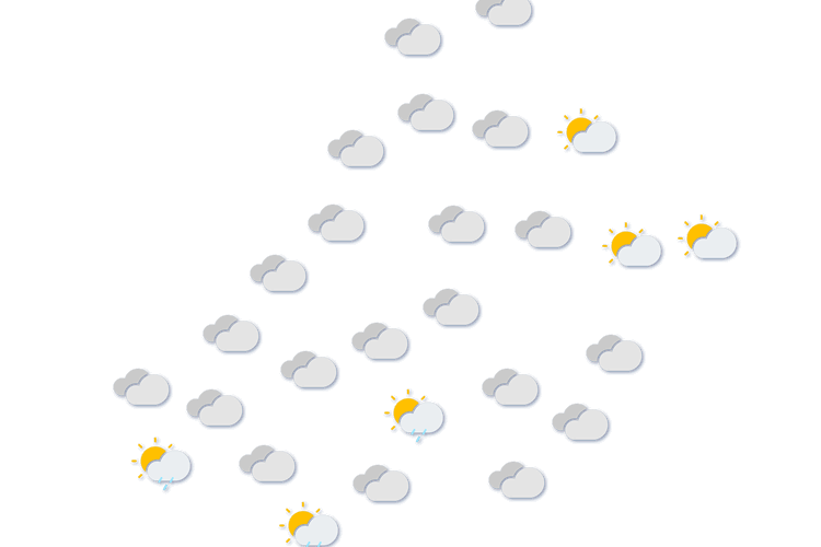 Forecast