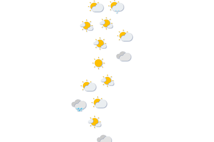Forecast