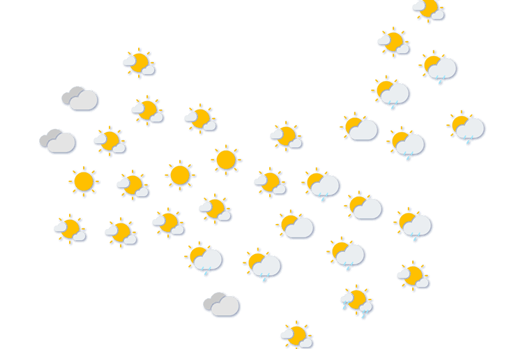 Forecast
