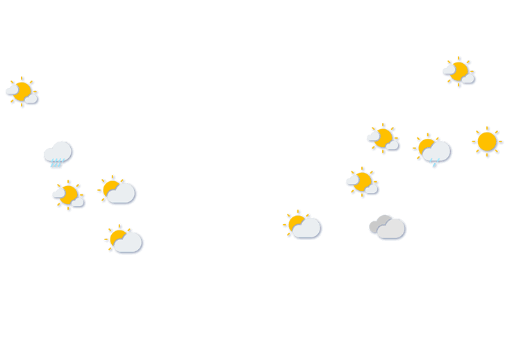 Forecast
