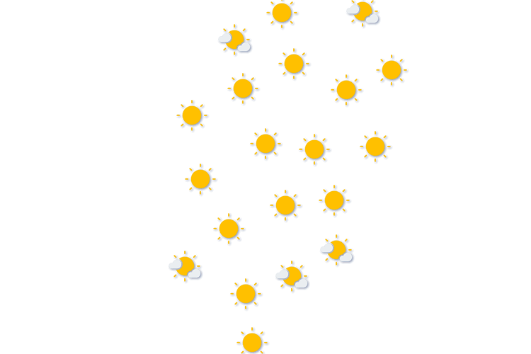 Forecast