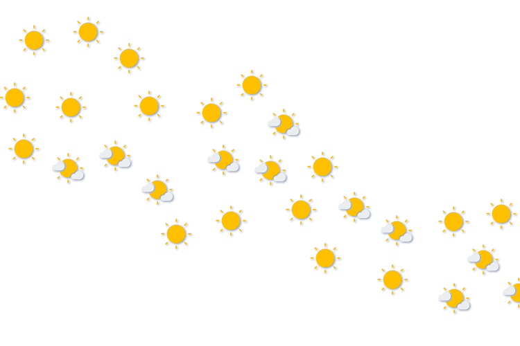 Forecast