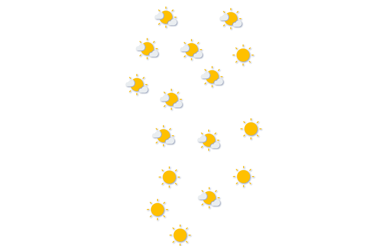 Forecast