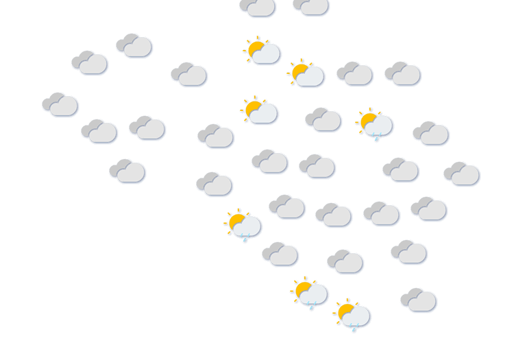 Forecast