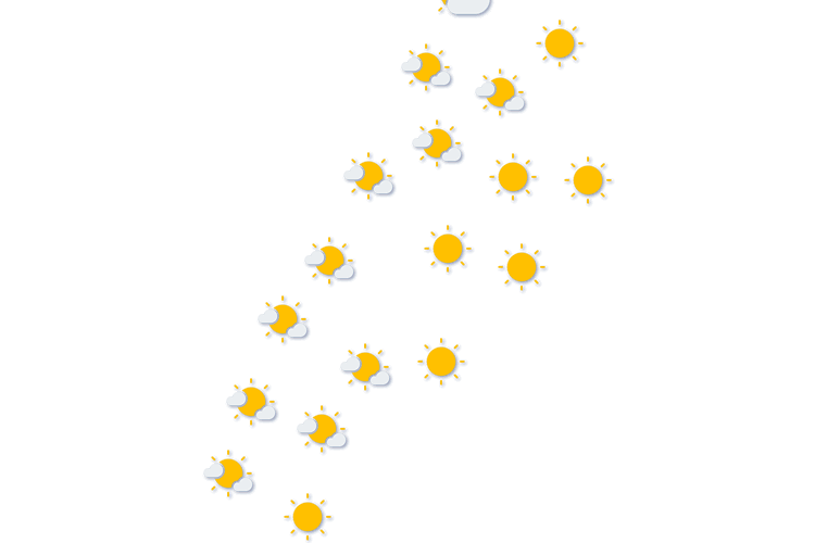 Forecast