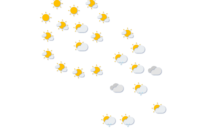 Forecast