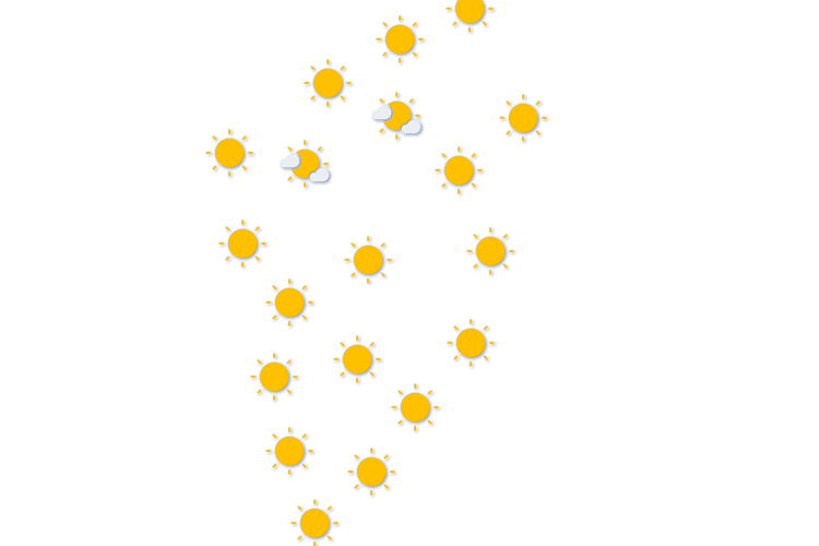 Forecast
