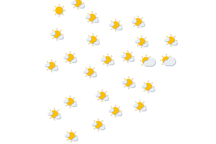 Forecast