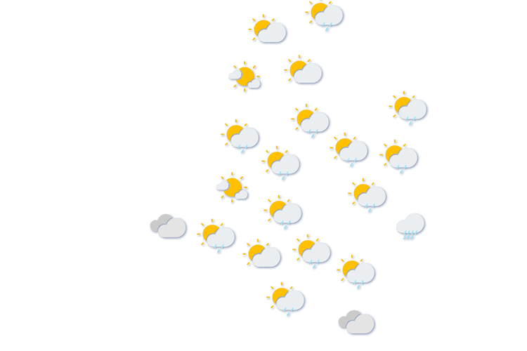 Forecast