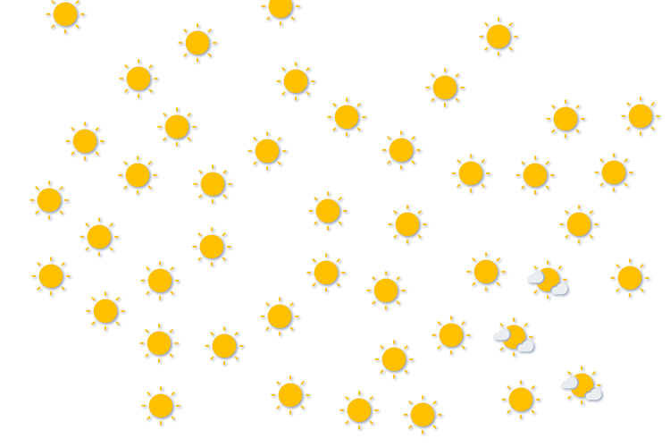 Forecast