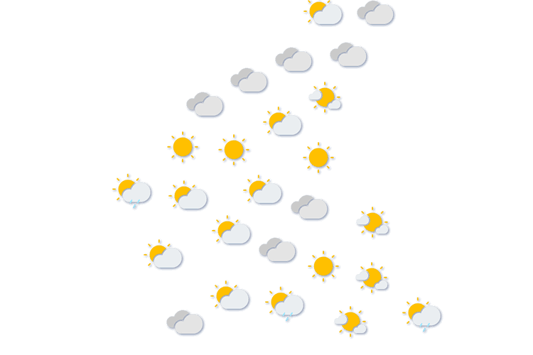 Forecast