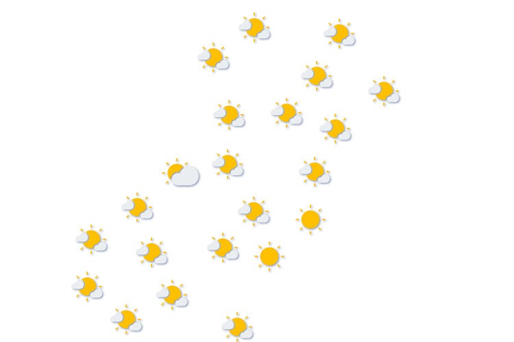 Forecast