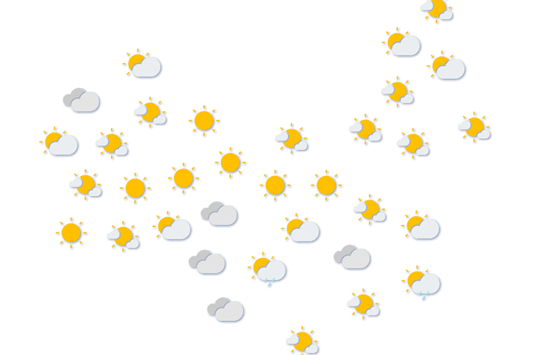 Forecast
