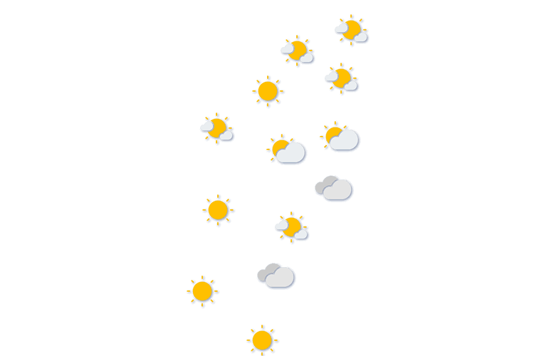 Forecast