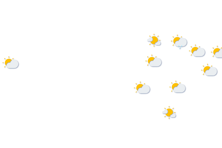 Forecast